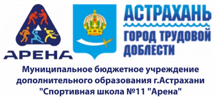 Арена11